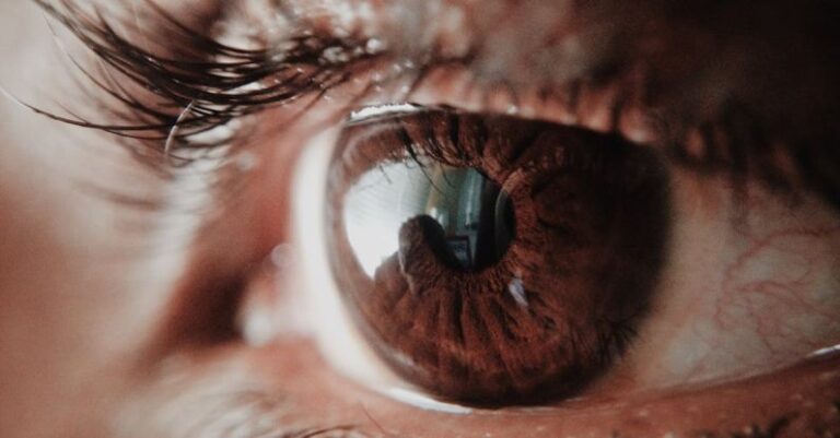 Vision - Brown Human Eye