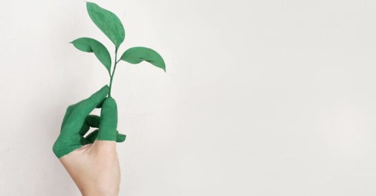 Environment - Person's Left Hand Holding Green Leaf Plant